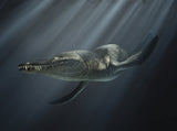 Liopleurodon - Premium Art Print