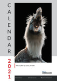 Dinosaur Wall Calendar 2021 - Founder's Edition