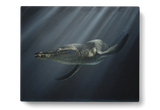 Liopleurodon - Metal Print