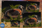 Compsognathus - Premium Art Print